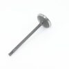 INTAKE VALVE,  CFMoto OEM - 0800-022004