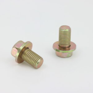 BOLT M10X1.25X18, Pack of 6, CFMoto OEM - 0180-313100-0010