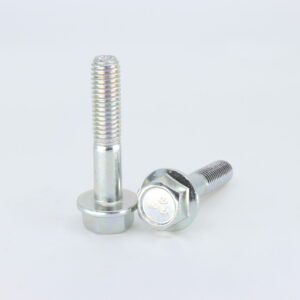 BOLT, Pack of 6, CFMoto OEM - 30006-080040810