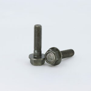 BOLT M8×30, Pack of 6, CFMoto OEM - 30006-080030840