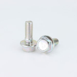 BOLT, Pack of 6, CFMoto OEM - 7020-100001