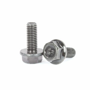 BOLT, Pack of 6, CFMoto OEM - 30006-080020870